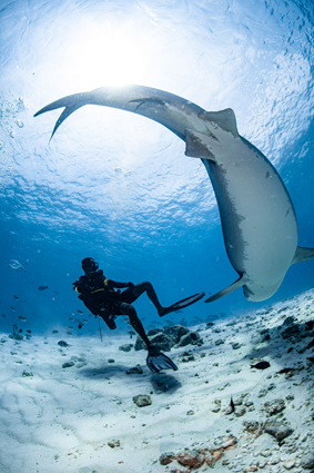 cda3cfc1903611615e1c2f10489806be_3 최영민 1.jpg